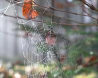 Energie Dotzigen News